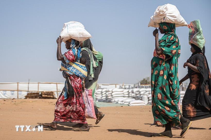 La FAO alerta del riesgo de inestabilidad en la seguridad alimentaria mundial